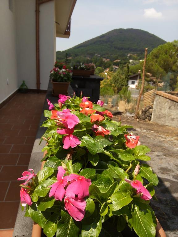 Bed and Breakfast Il Giardino Di Leoca Ніколозі Екстер'єр фото